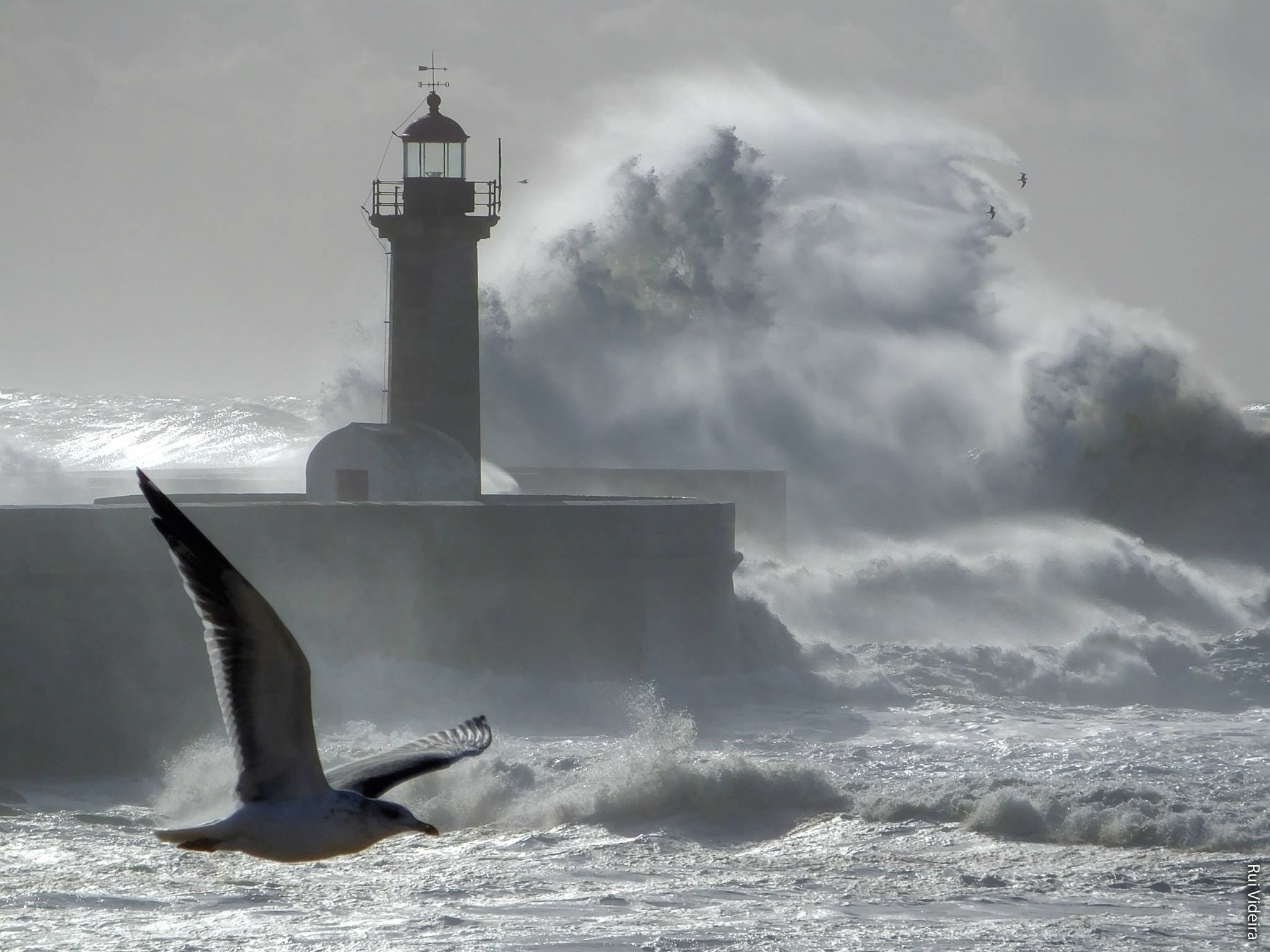 A fúria da Natureza... no Farol de Felgueiras | VortexMag