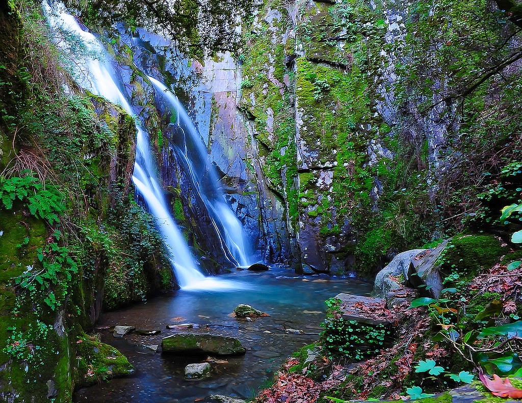 Fraga da Pena