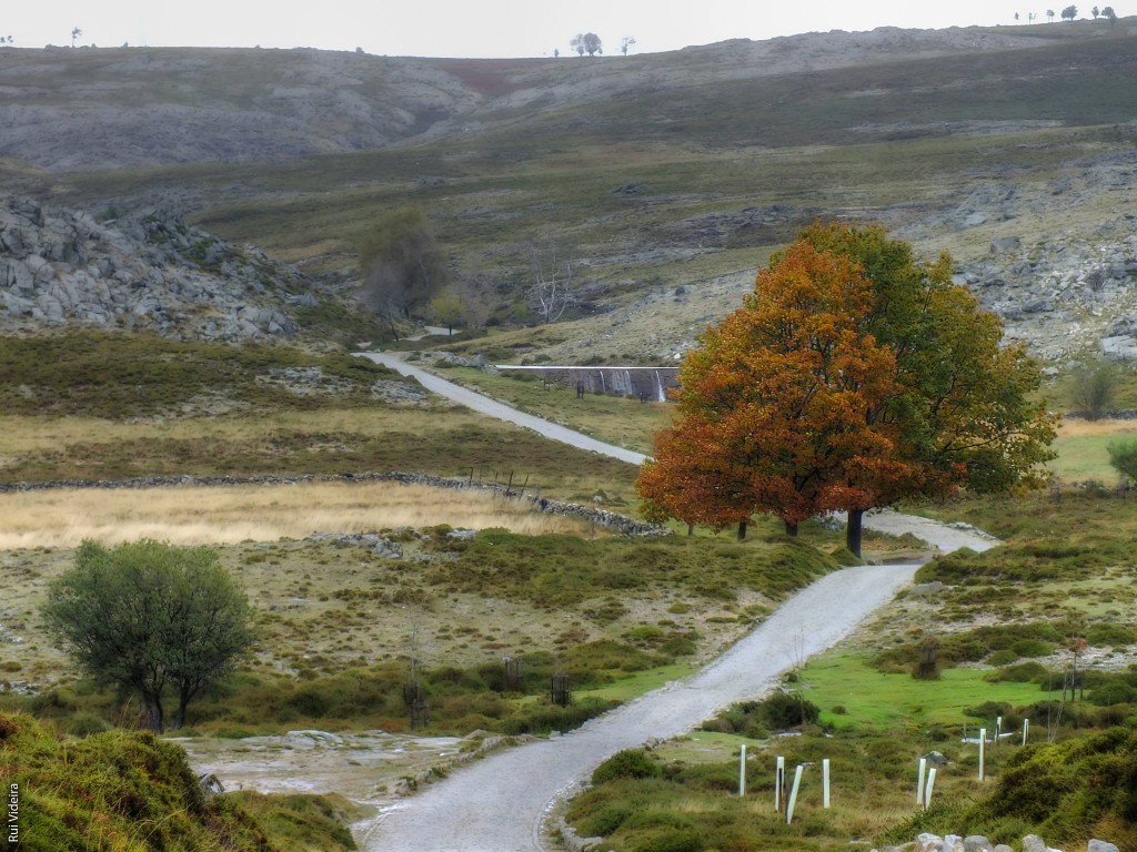 Serra da Freita