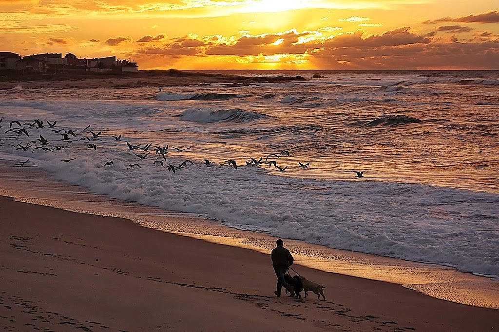 Praia do Moledo