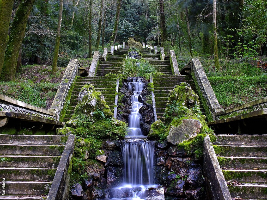 Mata Nacional do Buçaco