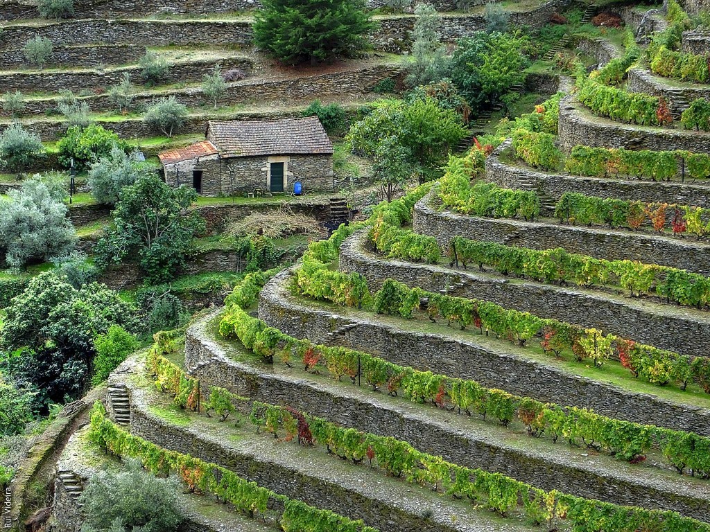 Rio Douro