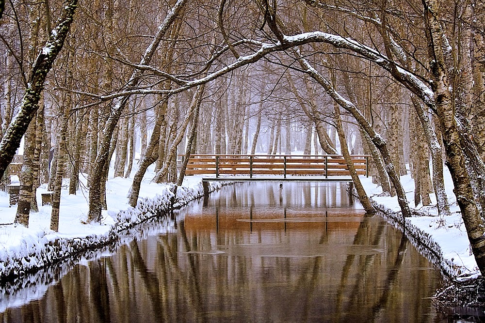 serra da estrela