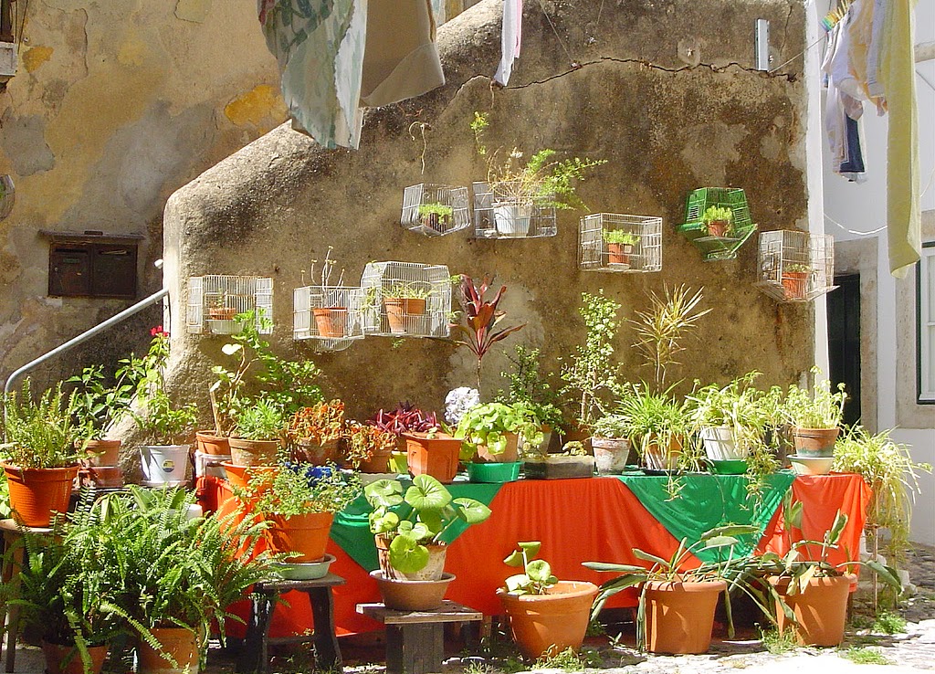 Pátio do carrasco