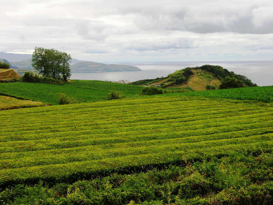 locais para visitar na Ilha de São Miguel