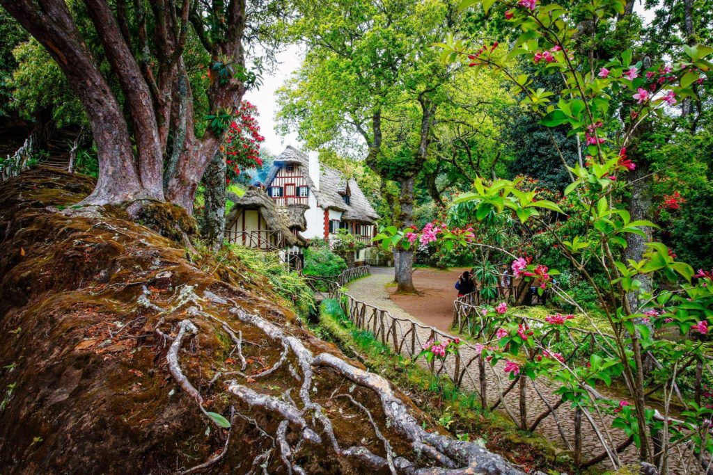 Parque Florestal de Queimadas