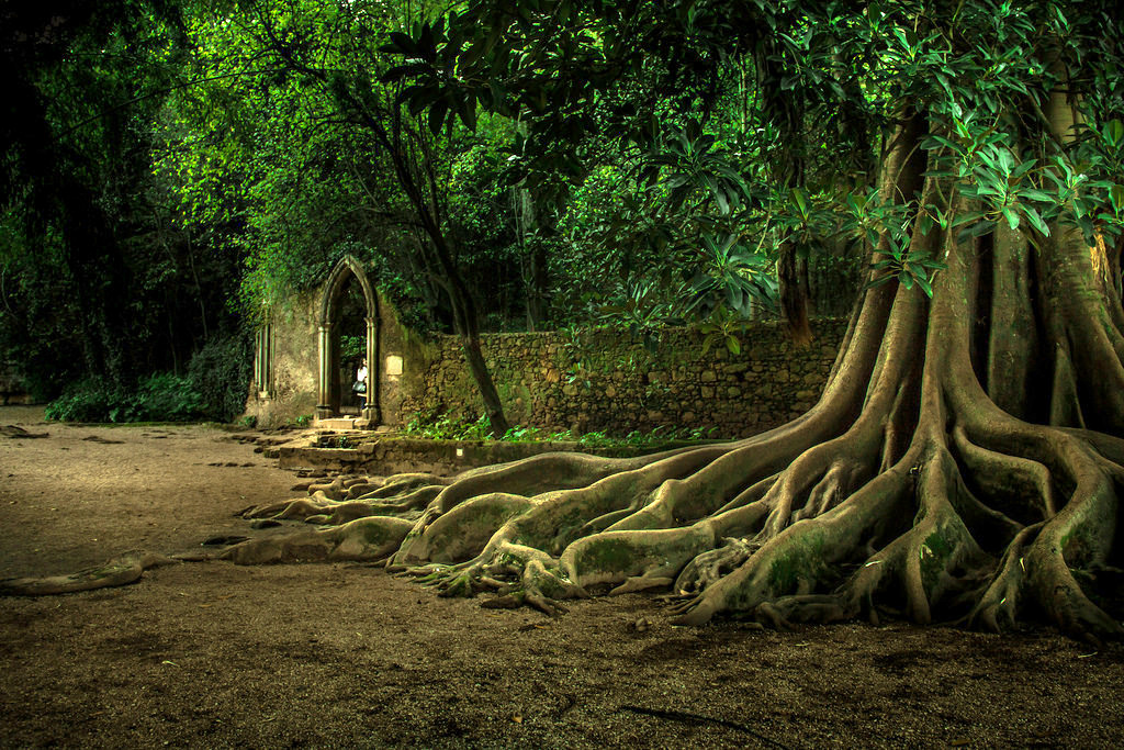 Quinta das Lágrimas