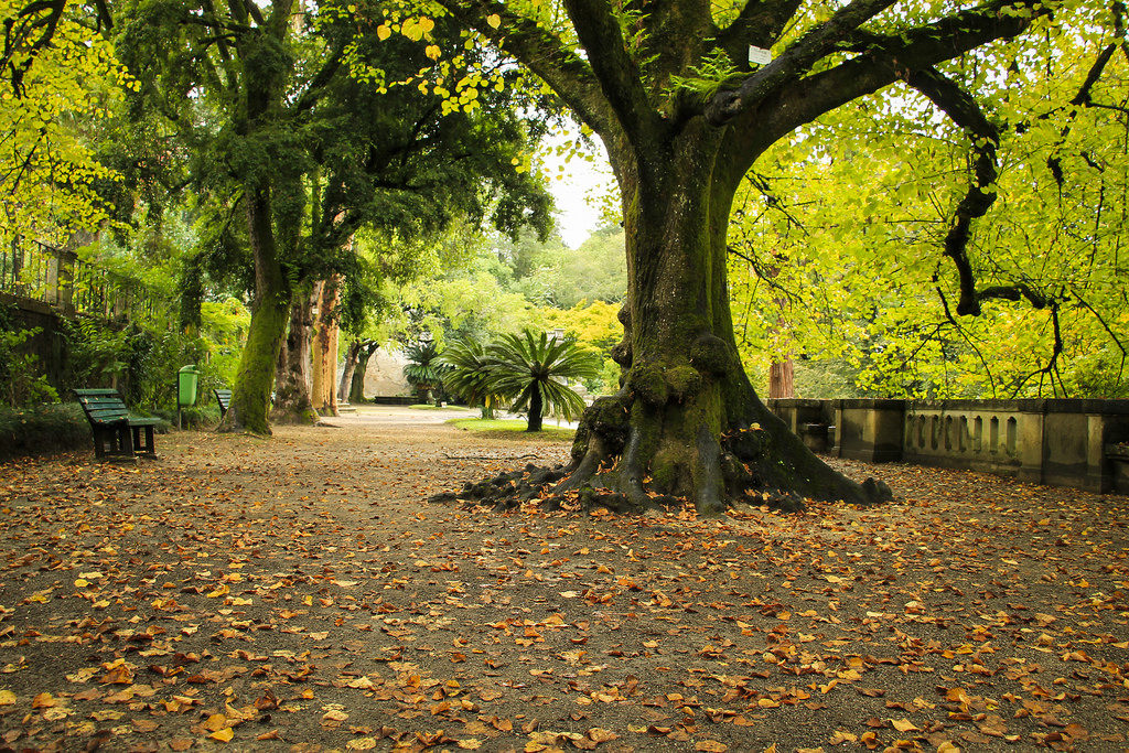 Jardim Botânico Coimbra