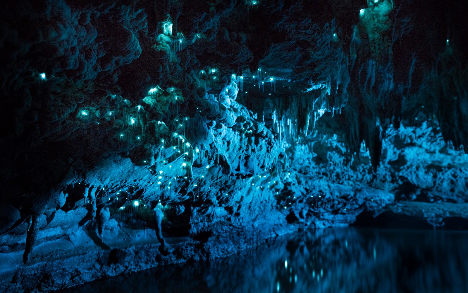 Waitomo Glow Worm Cave, Nova Zelândia