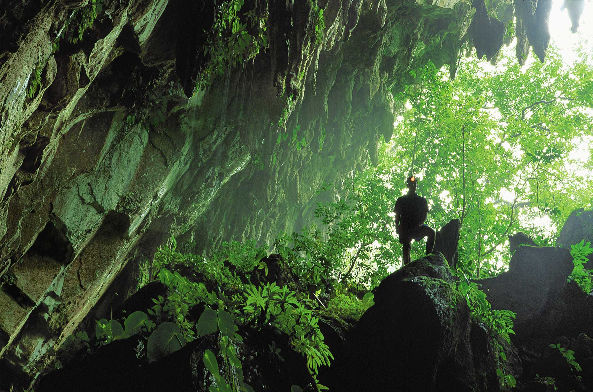 Mulu Caves, Bornéu, Malásia