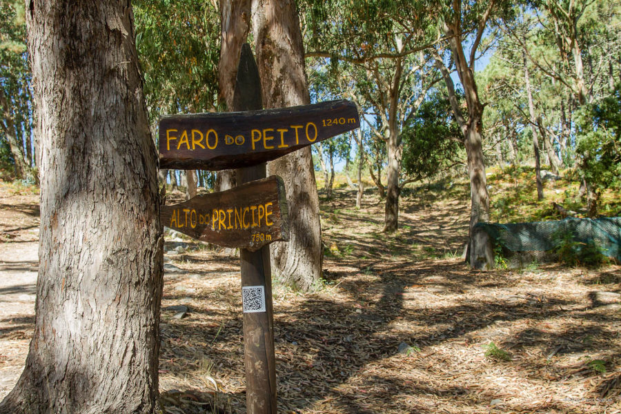 Rota do Alto do Príncipe