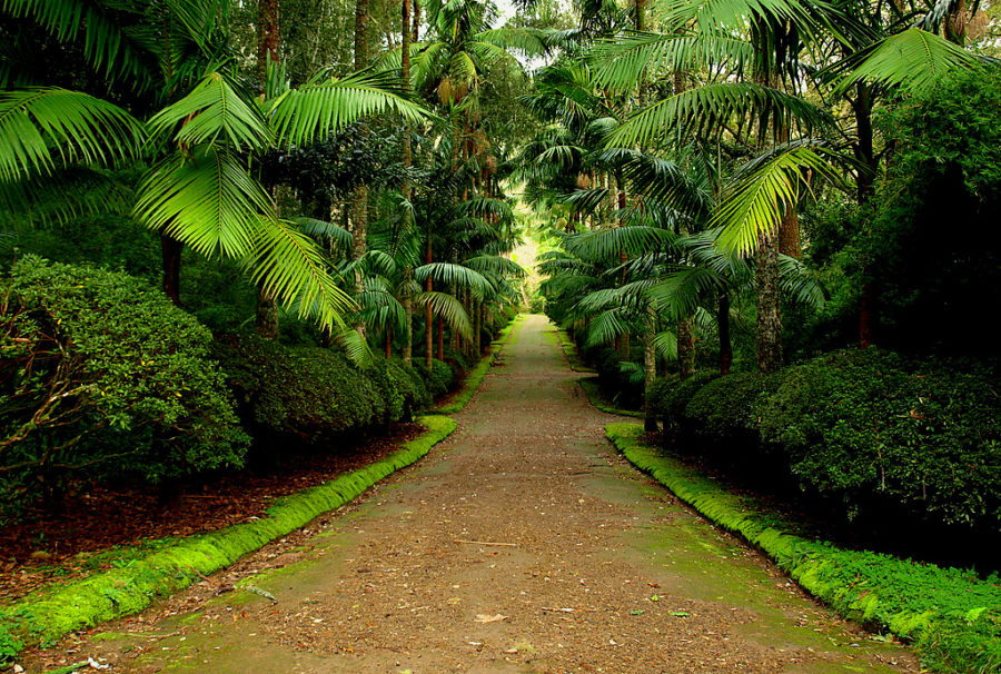 Parque Terra Nostra