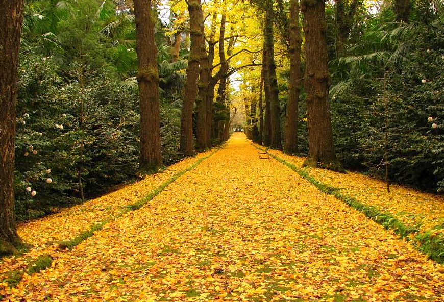 Parque Terra Nostra