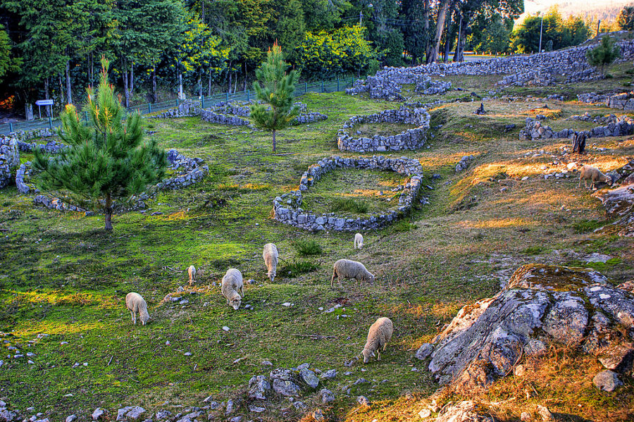 Citânia de Santa Luzia