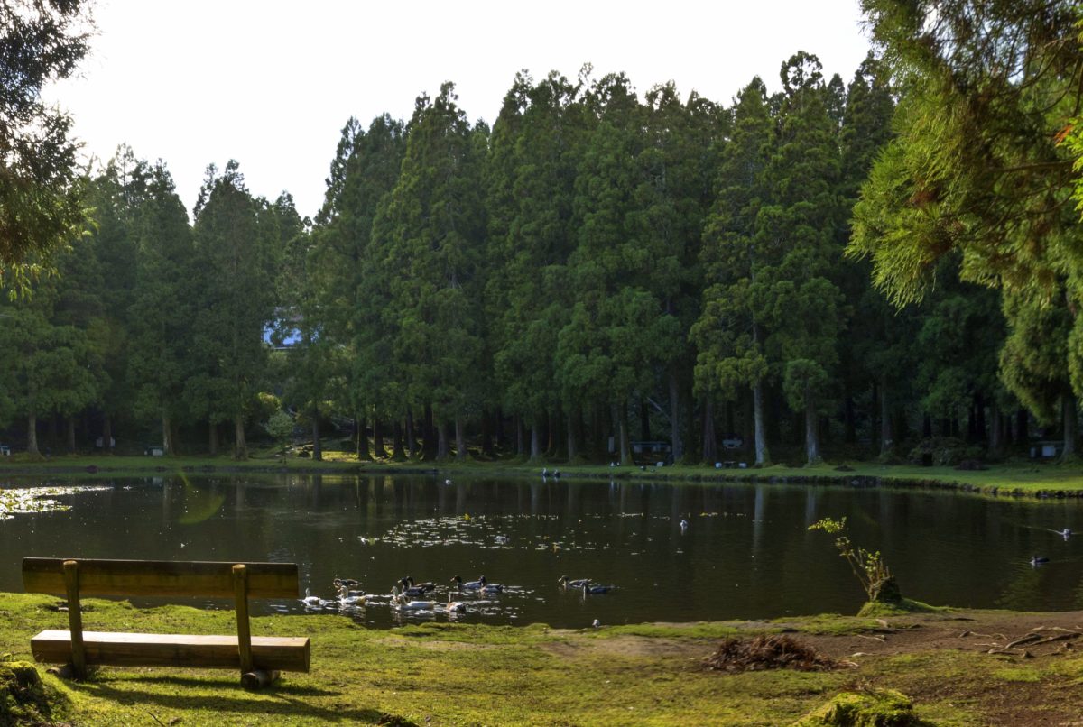 Lagoa das Patas