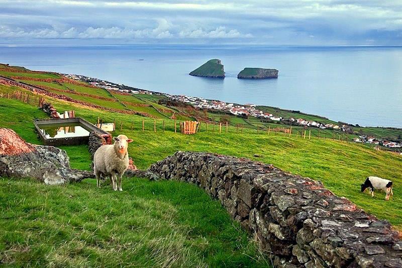 Ilha Terceira