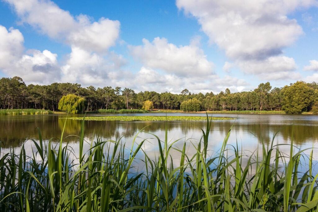 Lagoa de Pataias