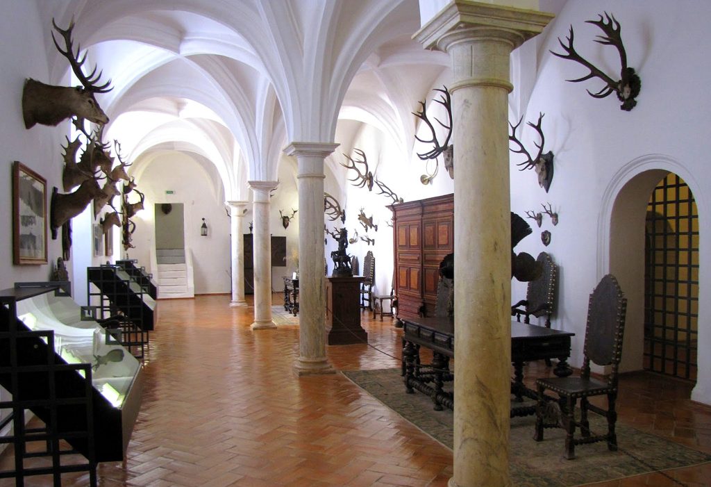 Museu da Caça e Arqueologia