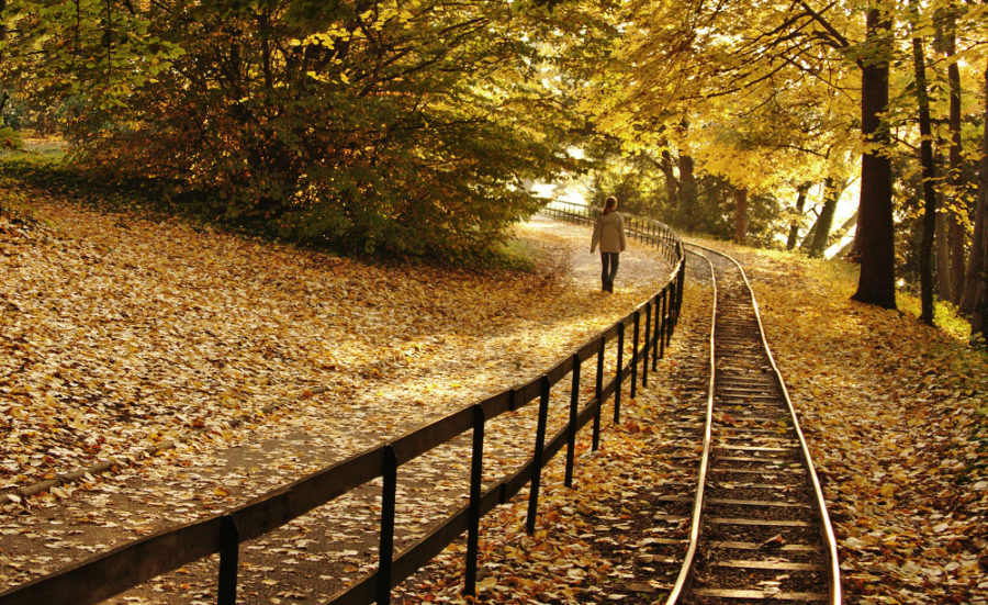 Parc de la Tête d’Or