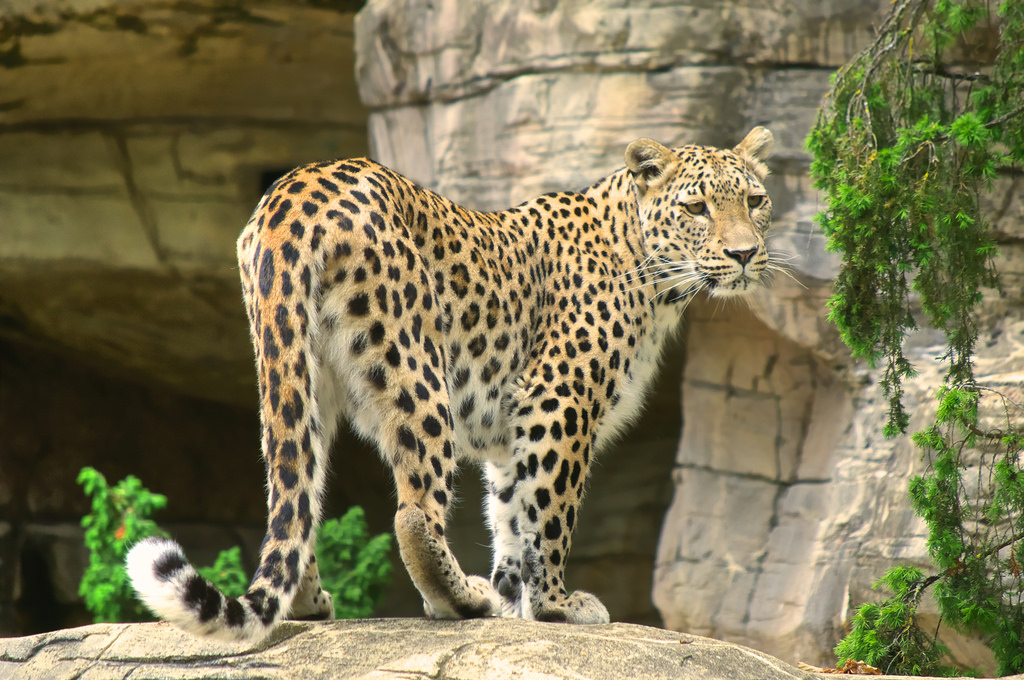 Tierpark Dählhölzli