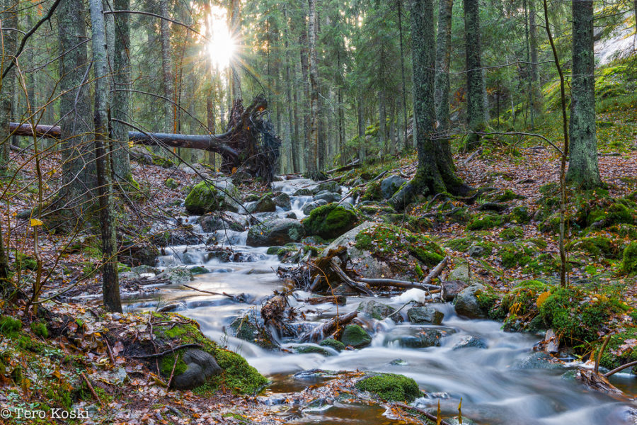 Parque Nacional de Nuuksio