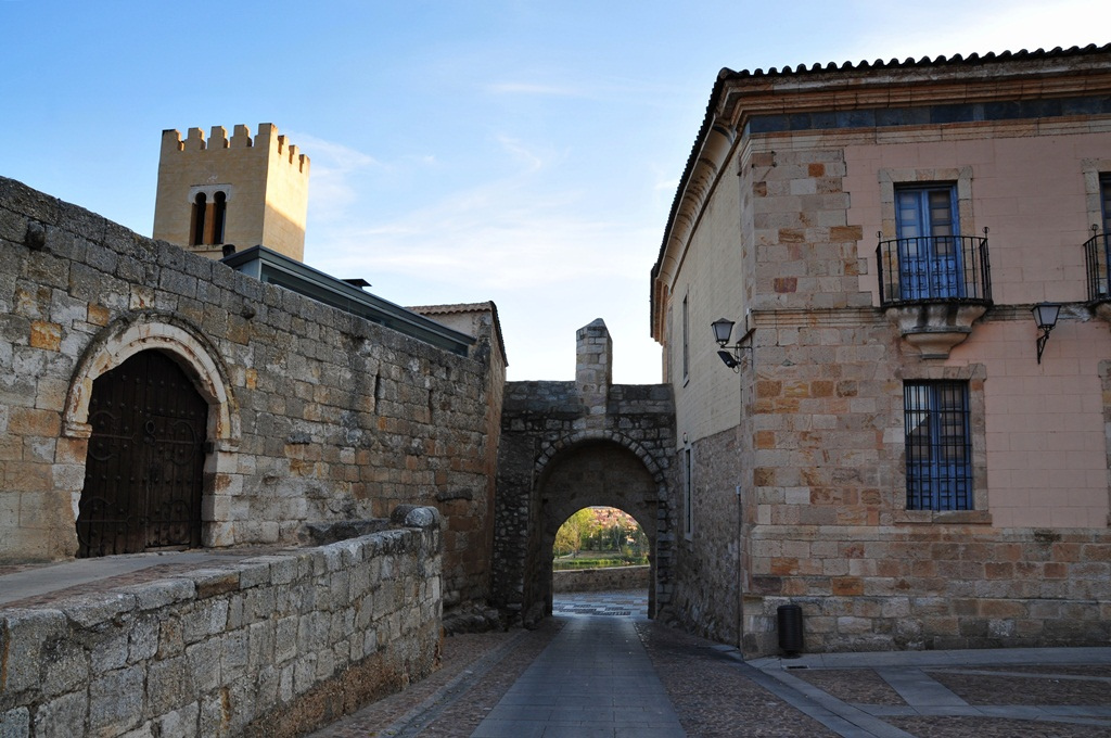 Palácio de Arias Gonzalo