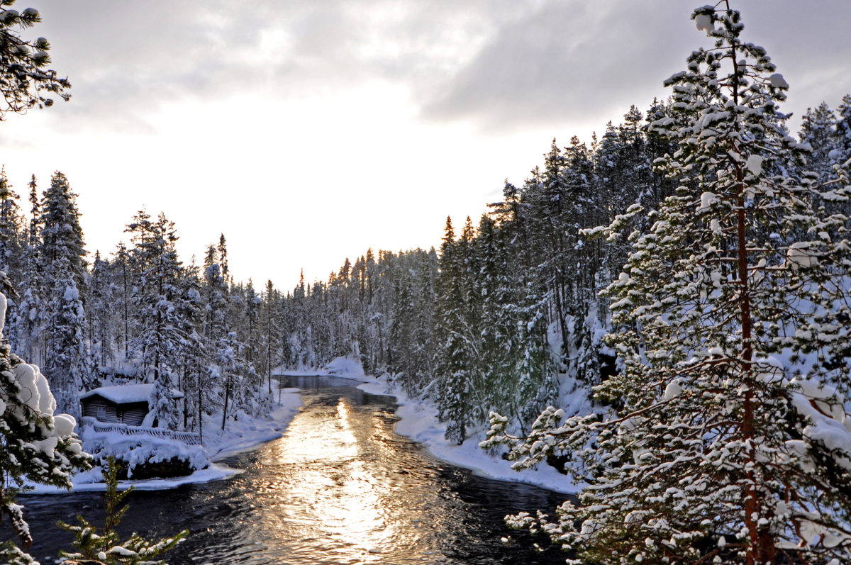 Parque Nacional de Oulanka