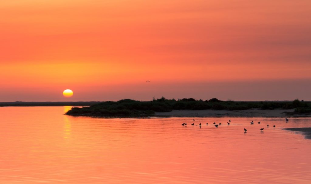 Praia da Ilha da Armona