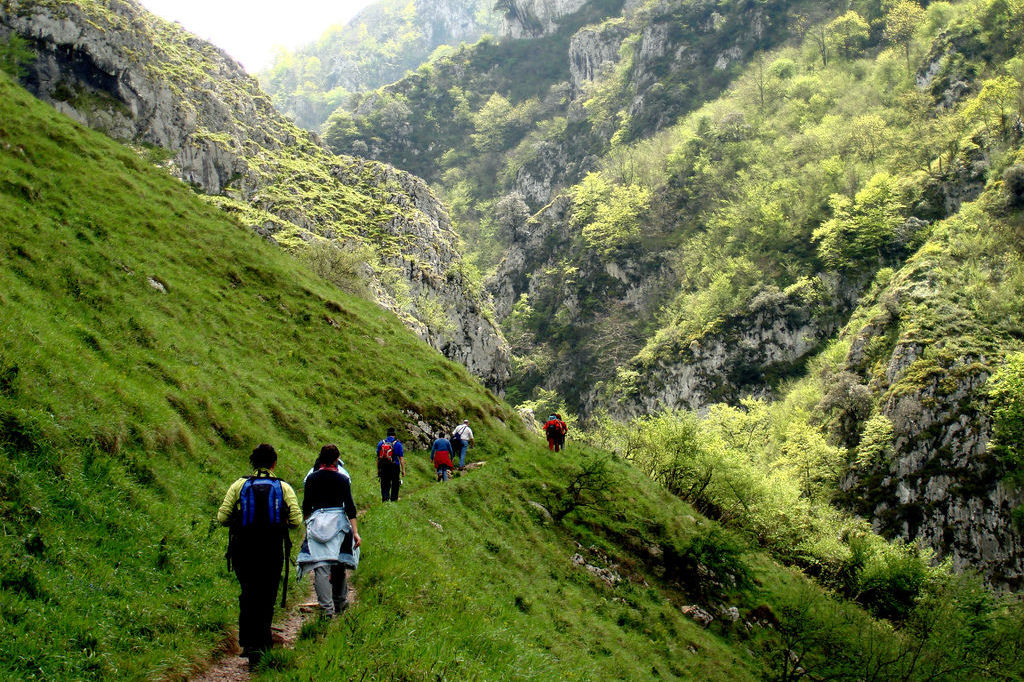 Senda del Oso