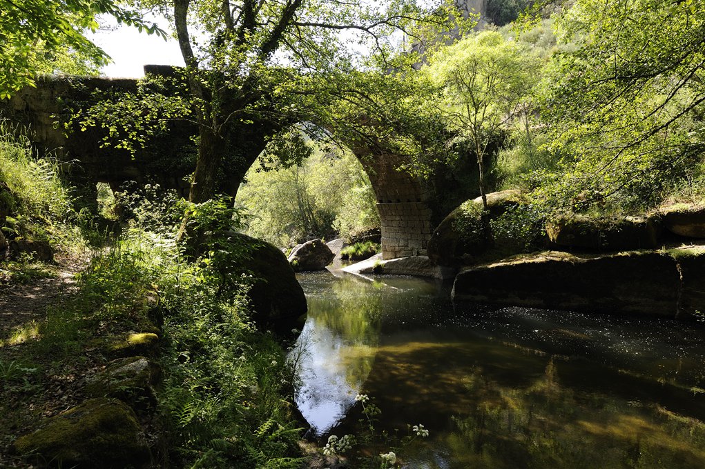 Ponte do Arco