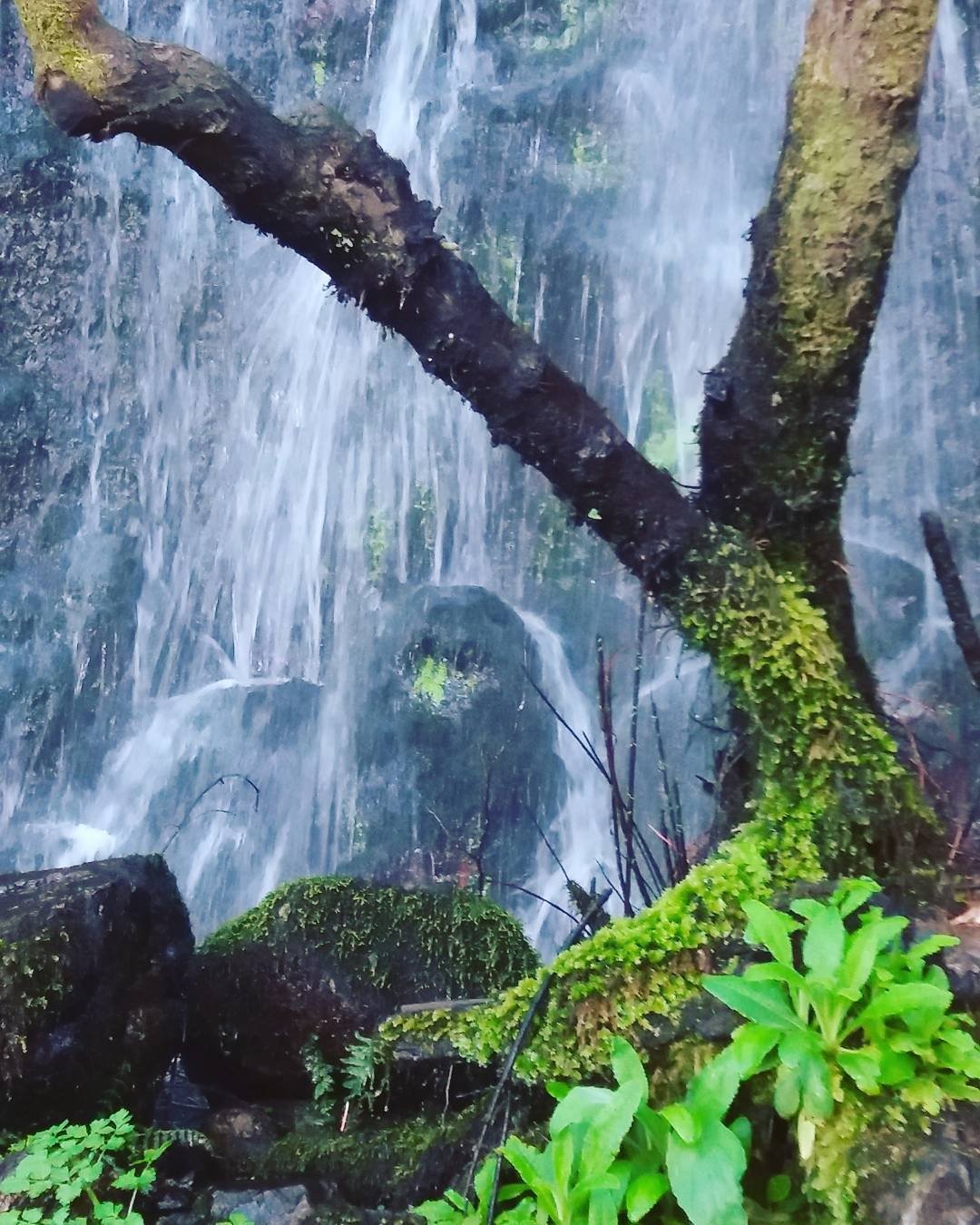 Cascata do Barbelote