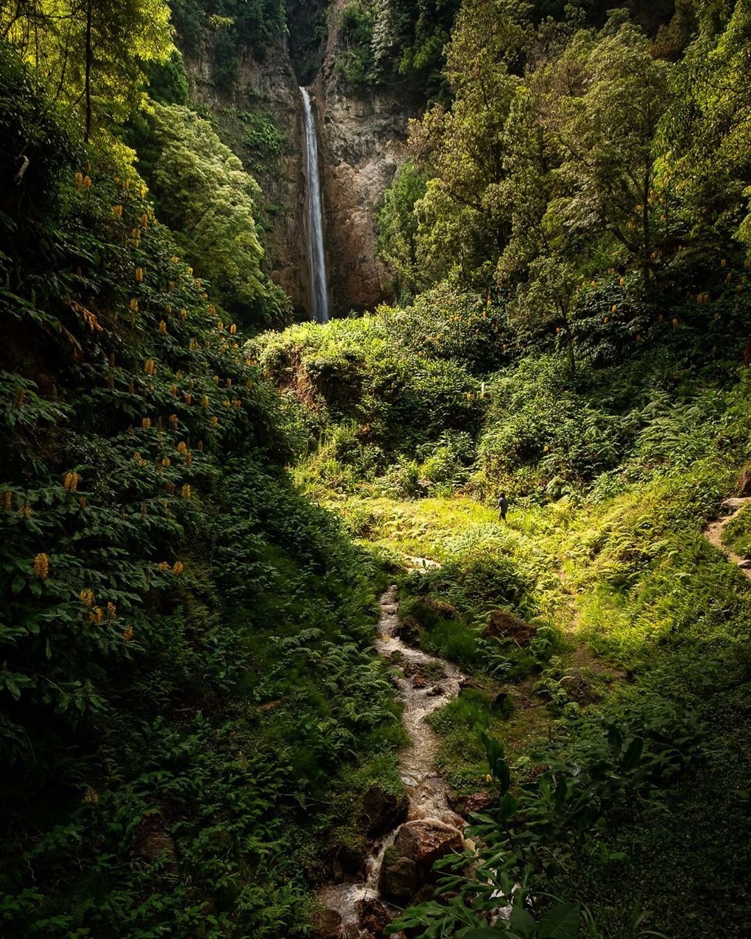 Cascata da Ribeira Quente