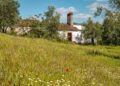 Safira (Montemor-o-Novo)