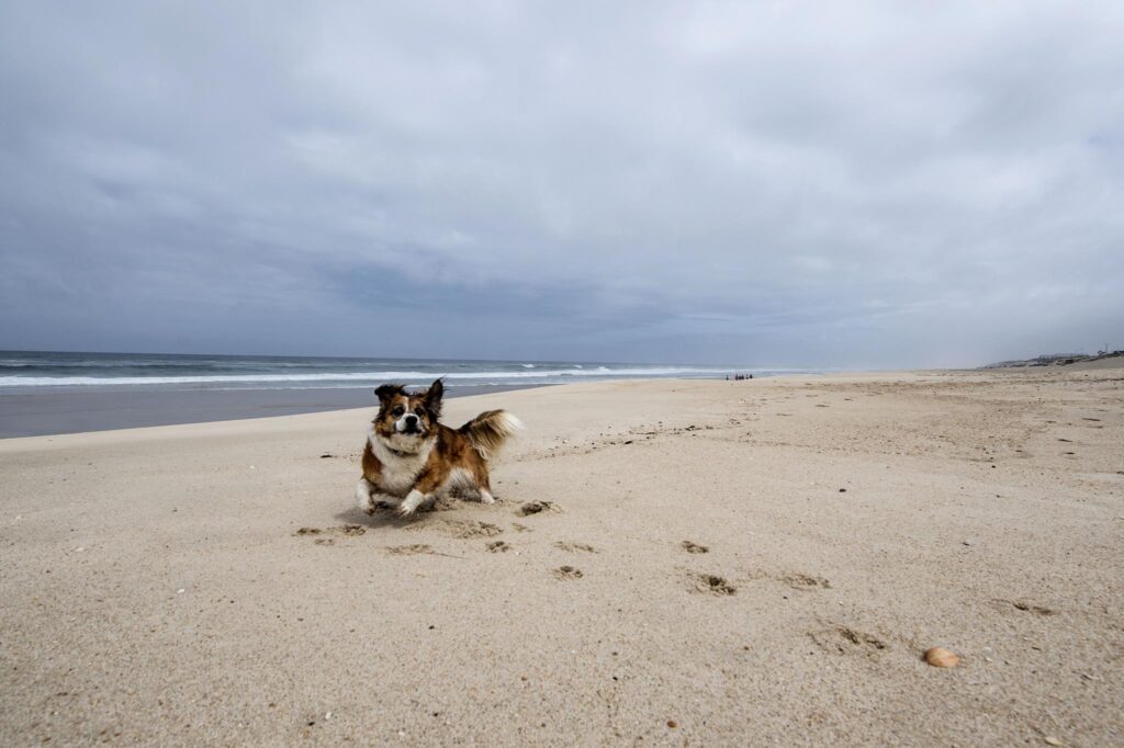 Praia da Ramalha Sul