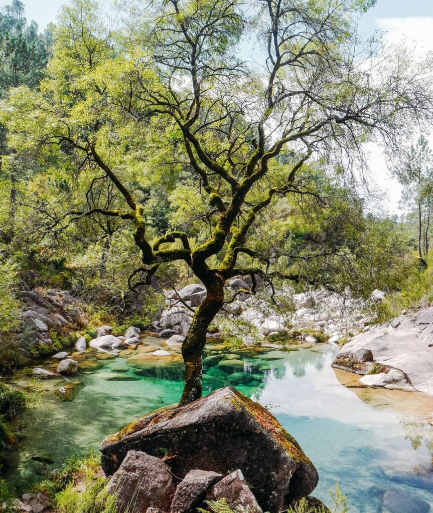 Poço Verde de Fafião