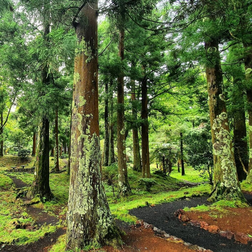 Parque Florestal das Sete Fontes