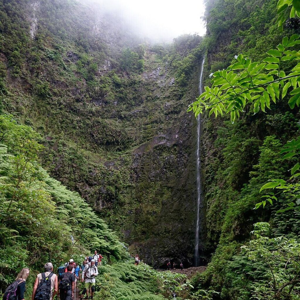 Caldeirão Verde, Queimadas