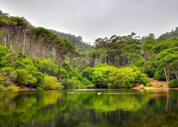 lagoas perto de lisboa