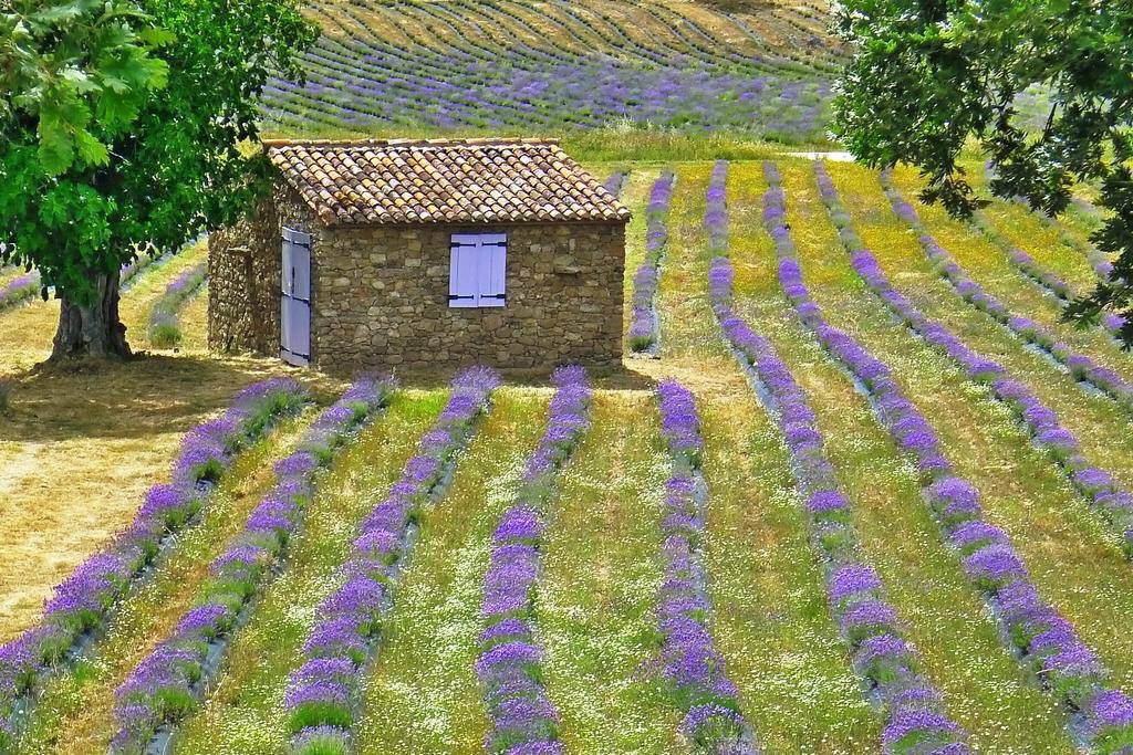 Alentejo