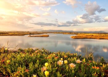 parques naturais em portugal