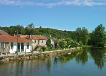 Varge trás-os-montes