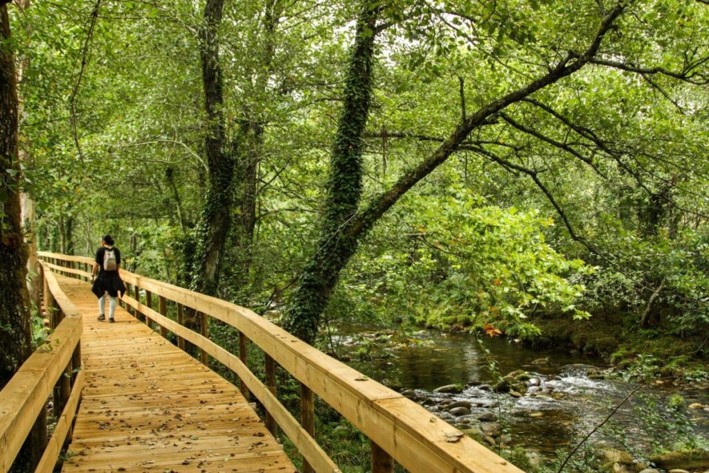 passadiços no norte de portugal