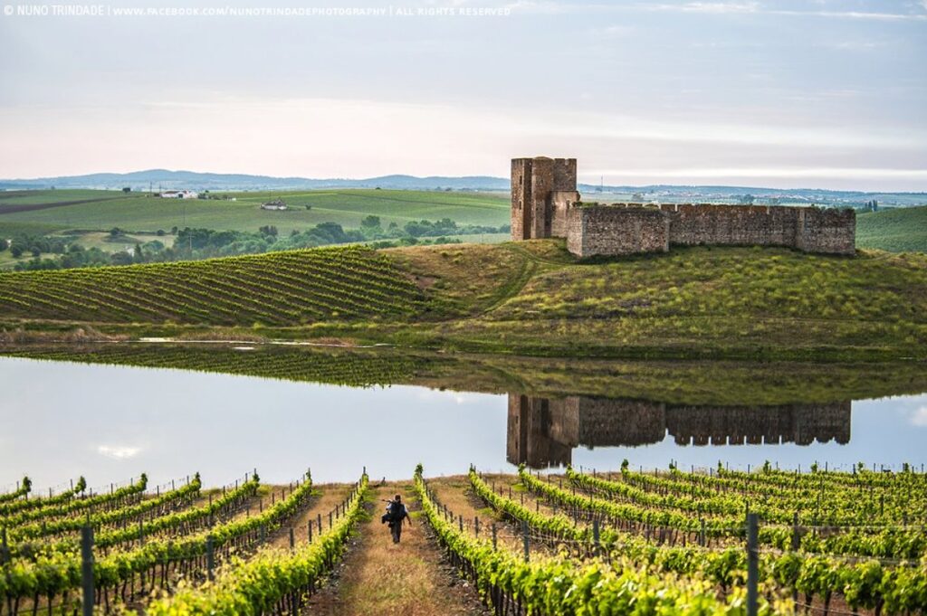 Castelo de Valongo Alentejo