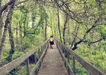 Lagoas de Bertiandos