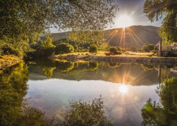 Verdelhos serra da estrela