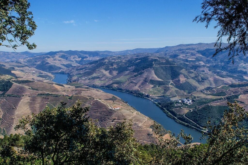 são leonardo da galafura douro