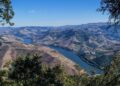são leonardo da galafura douro