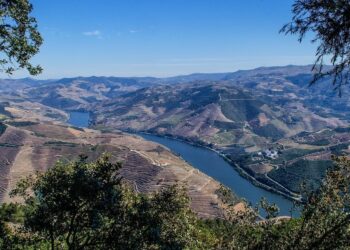 são leonardo da galafura douro