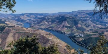 são leonardo da galafura douro