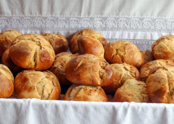 gastronomia trás-os-montes